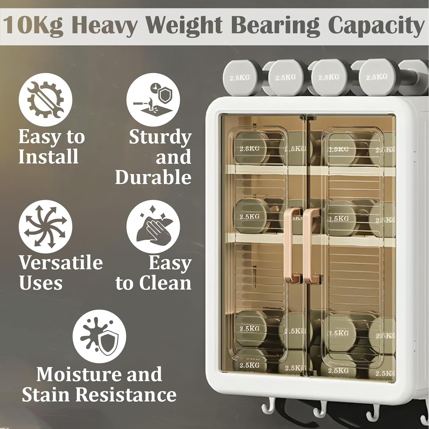 Premium Wall Mounted Multipurpose Storage Cabinet|